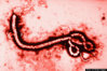 o-EBOLA-570.jpg