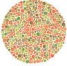 color blind test.jpg