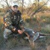 deer14.jpg