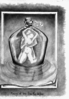 Dolphin.png