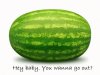 watermelon.jpg